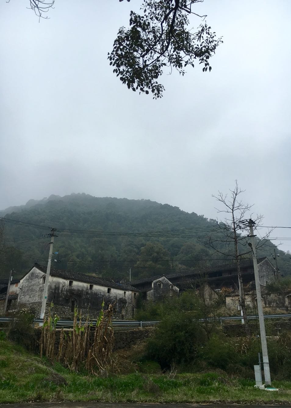 连竹村天气预报更新通知