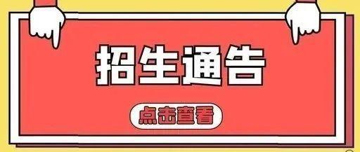 丰泽区小学最新招聘启事概览