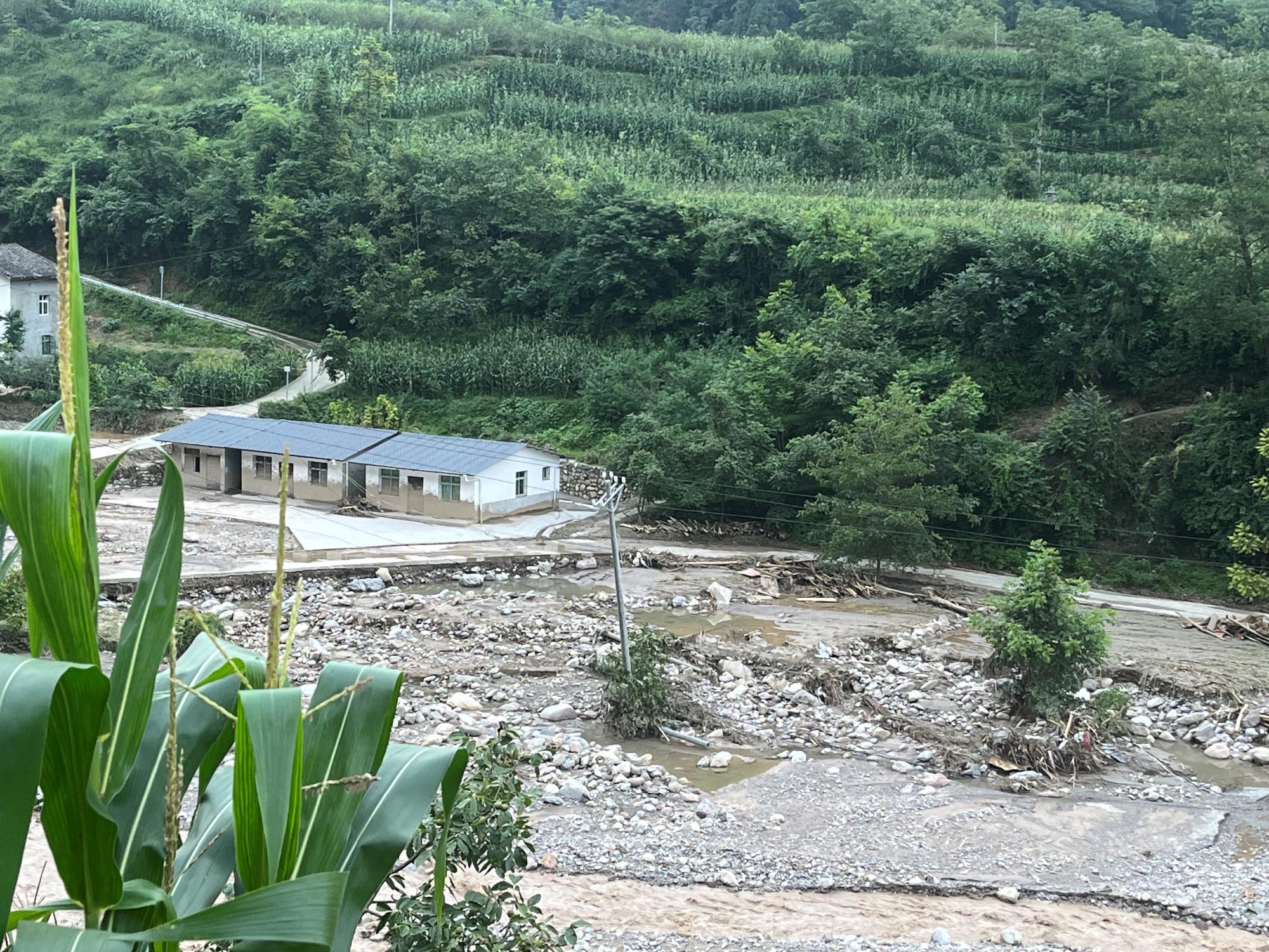 马家坝村民委员会天气预报更新通知