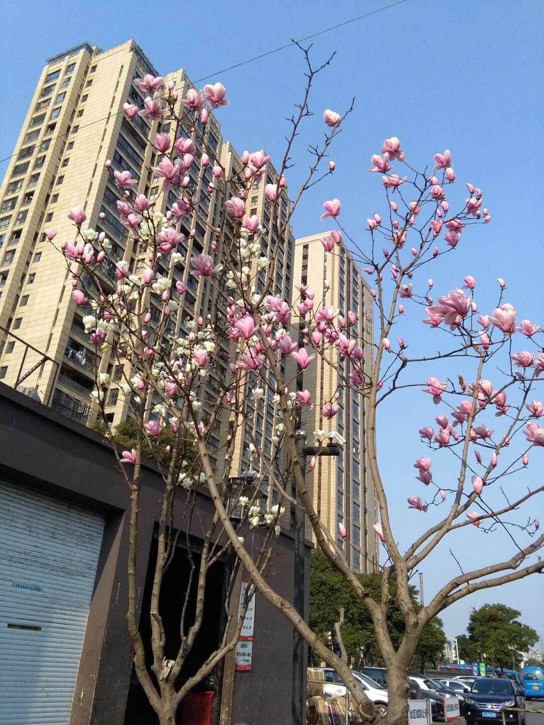 梅山街道天气预报更新通知