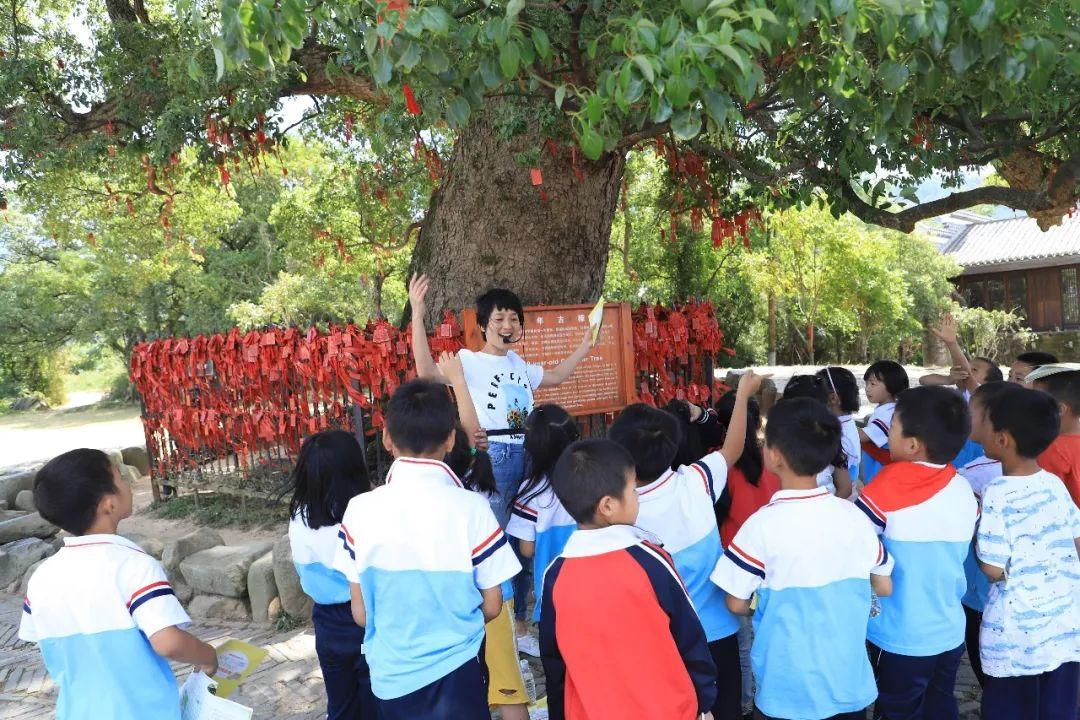 安义县小学最新资讯简报