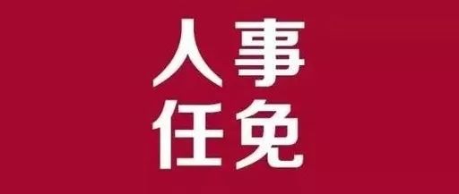 镇坪县审计局人事任命推动审计事业再上新台阶