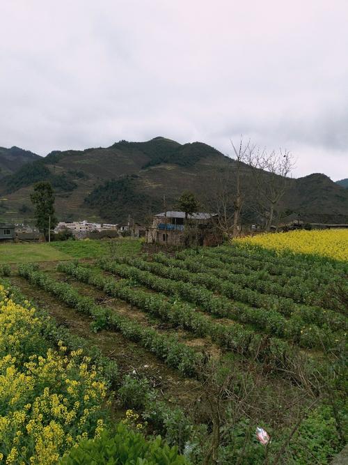 木植街乡天气预报更新通知