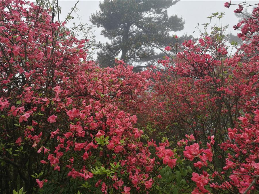 雨后彩虹 第3页