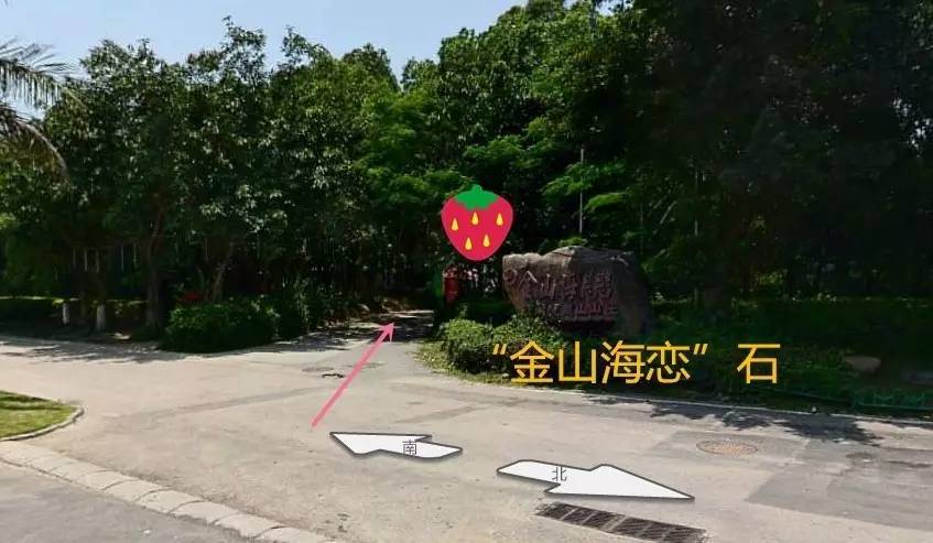 举台村最新新闻报道