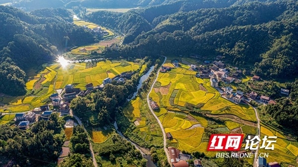 霍口畲族乡天气预报更新