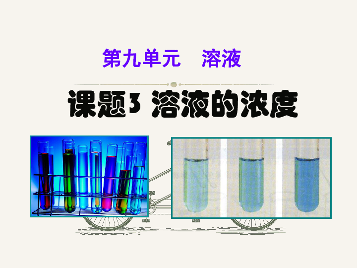 红庙镇人事任命揭晓，开启地方发展新篇章