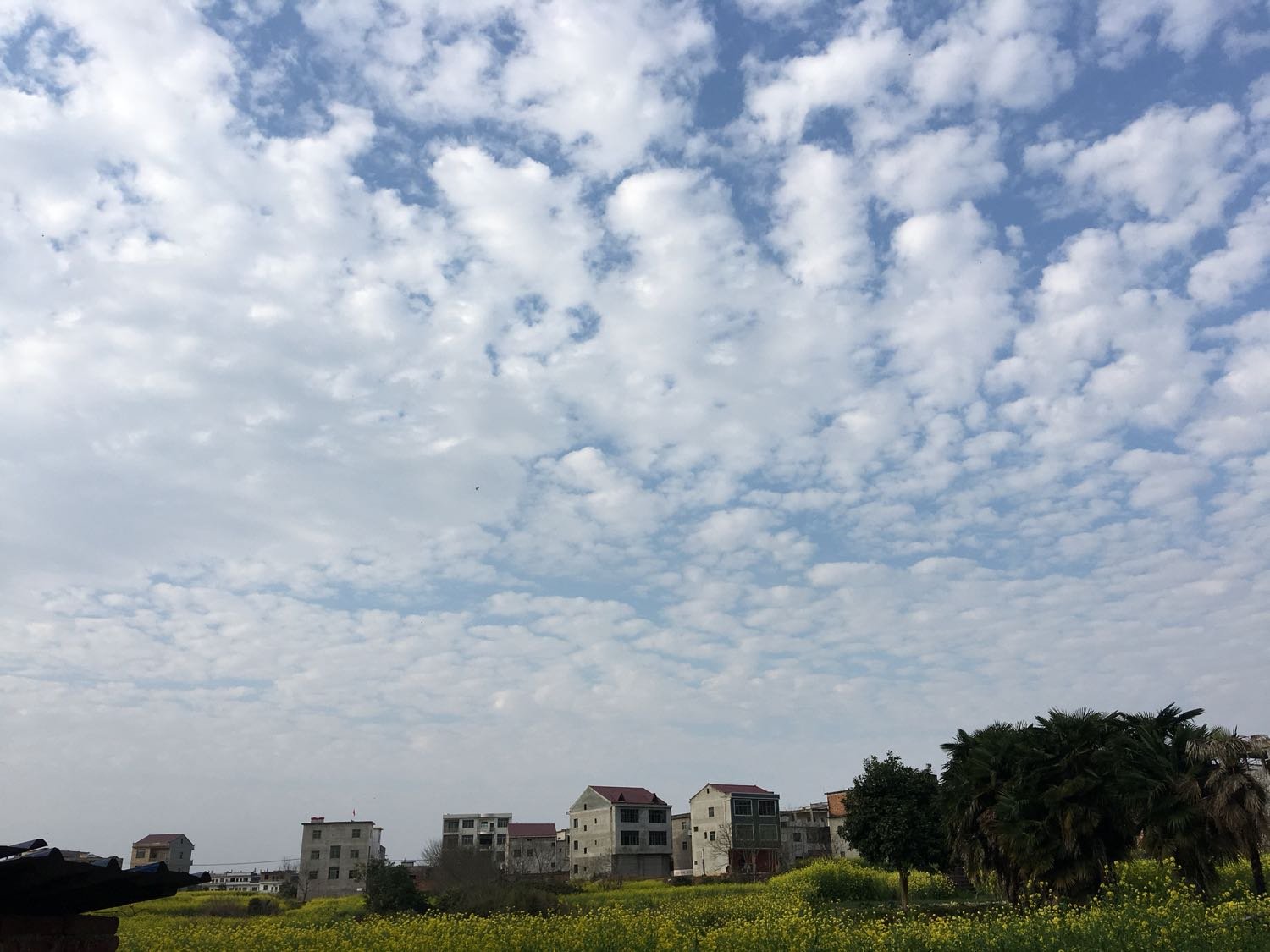 上派镇天气预报更新通知