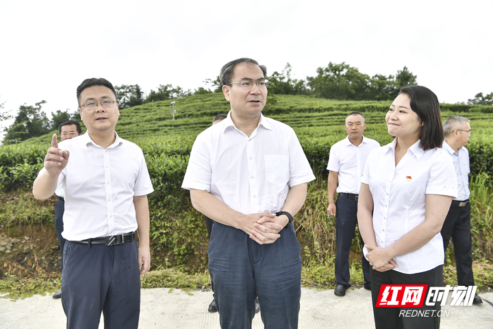 那塔村新任领导引领村庄迈向繁荣与进步之路