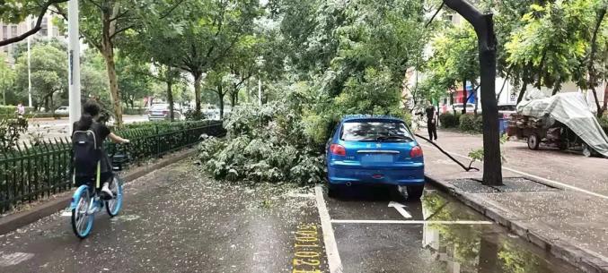 中大槐树街道交通最新动态报道