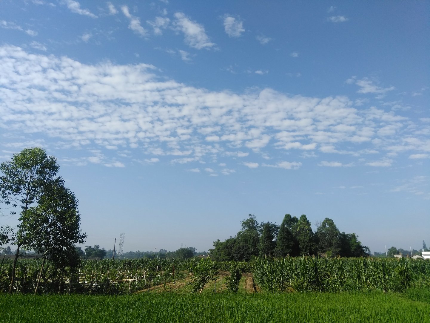 来宝沱村天气预报更新