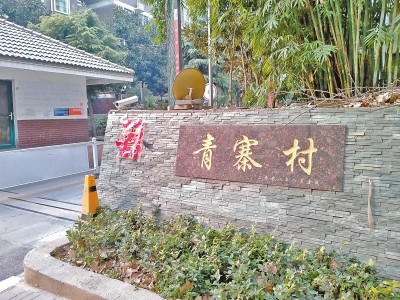 青泉村民委员会乡村振兴与社区发展探索项目启动