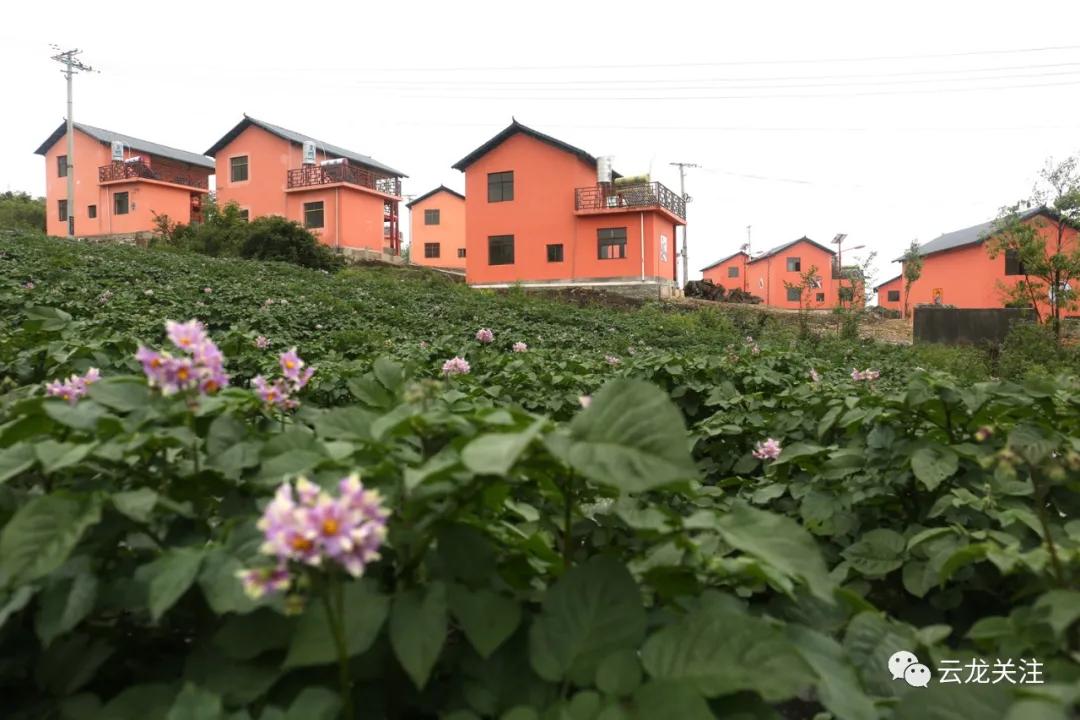 民建七乡与诺邓最新天气预报分析摘要