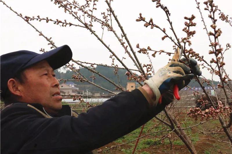 形赤村委会新项目启动，乡村振兴新动力源泉