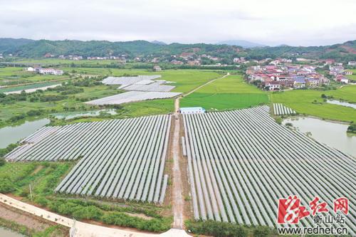 株木山乡最新项目，地方发展的强大推动力