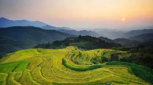 ◇梦◆饭饭