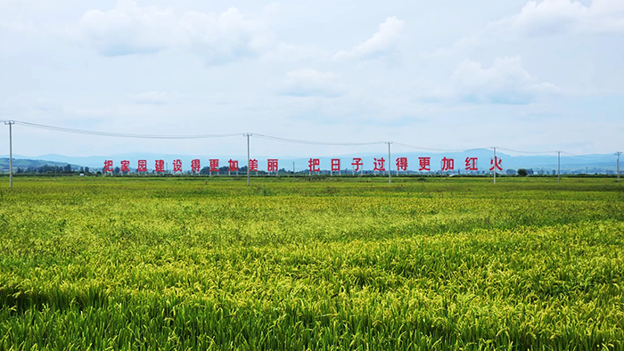 延边朝鲜族自治州市科学技术局发展规划概览