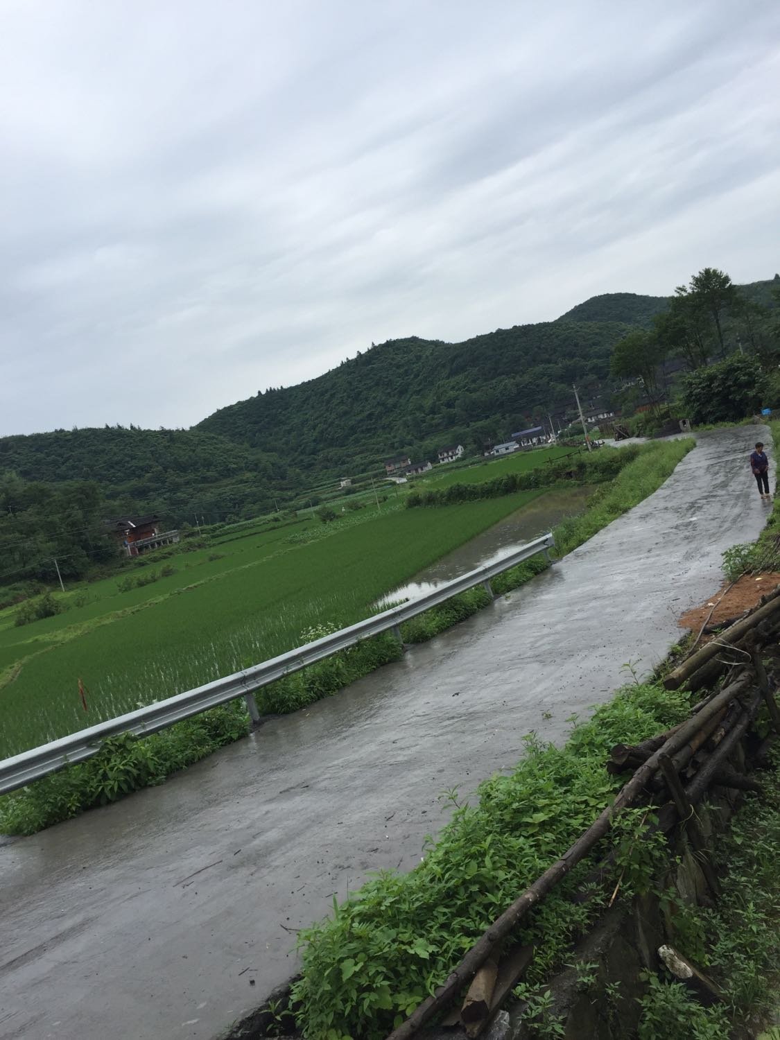 田家镇天气预报更新通知